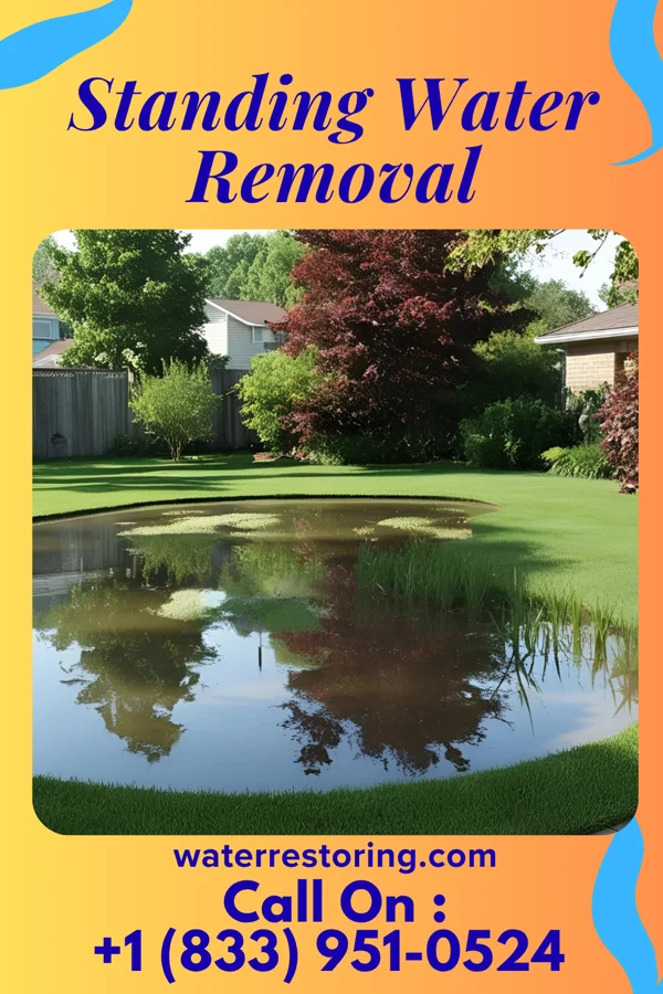 Standing Water Removal in Saluda, SC